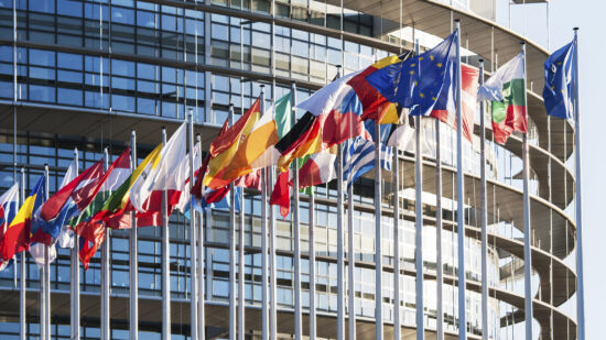 All European Union flags in front of parliament eu