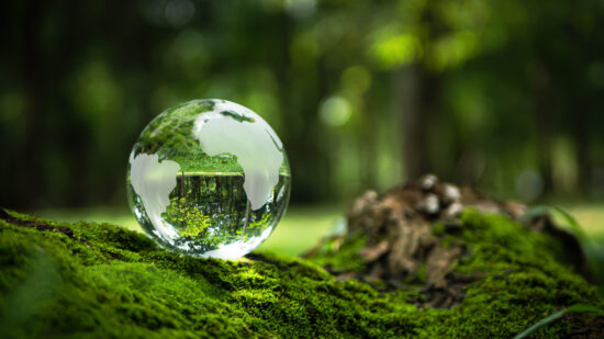 Environment Concept - Crystal Earth On moss In Forest With Ferns And Sunlight - Environment, save clean planet, ecology concept. Earth Day banner with copy space.