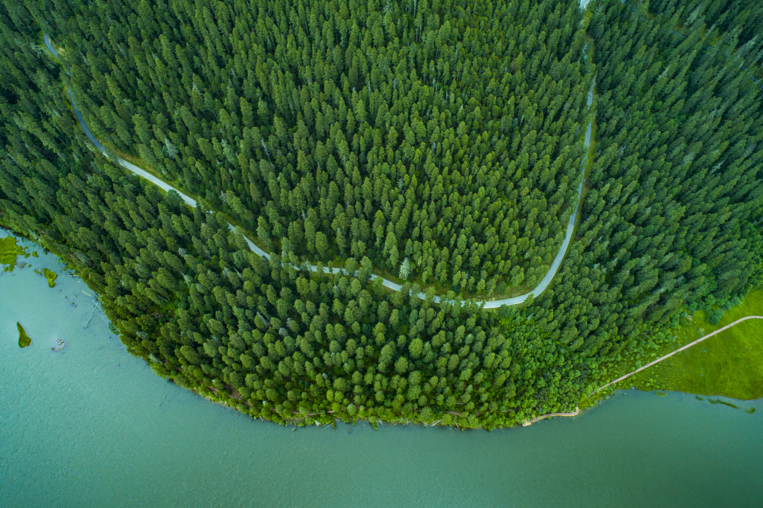 GettyImages-1266262144_50034