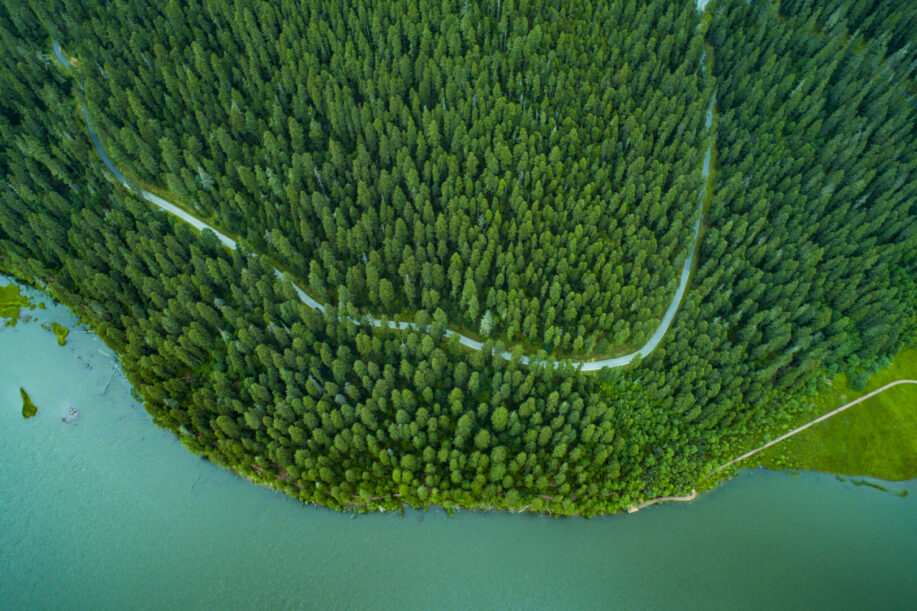 Target Environment UK Government Announces New UK 2035 Climate Target | Environment, Land ...