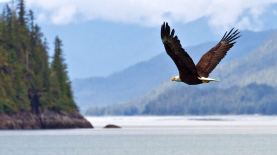 Freedom of Alaska