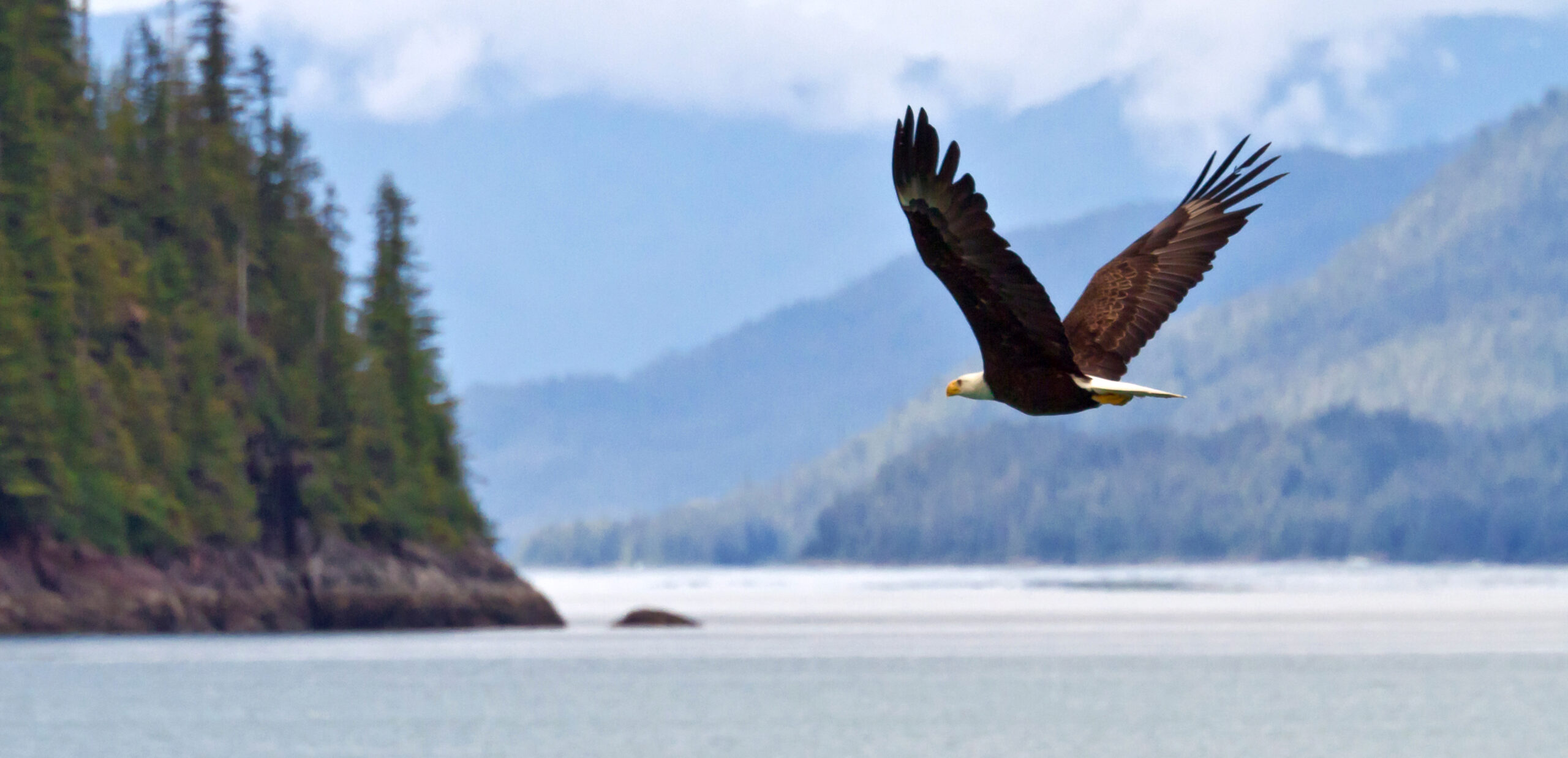 Freedom of Alaska